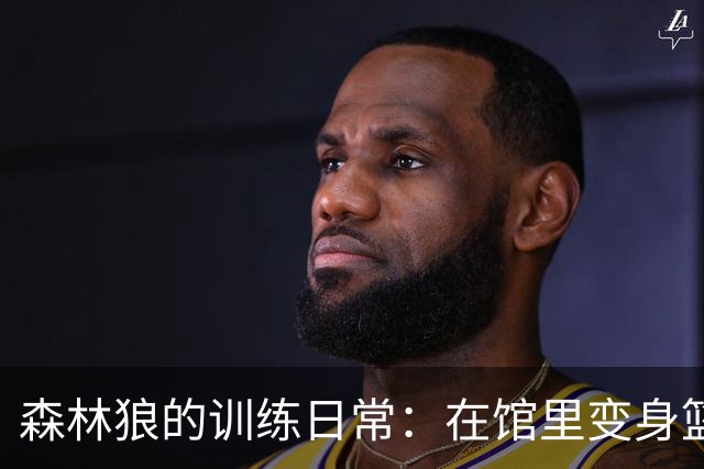 森林狼的训练日常：在馆里变身篮球怪兽！